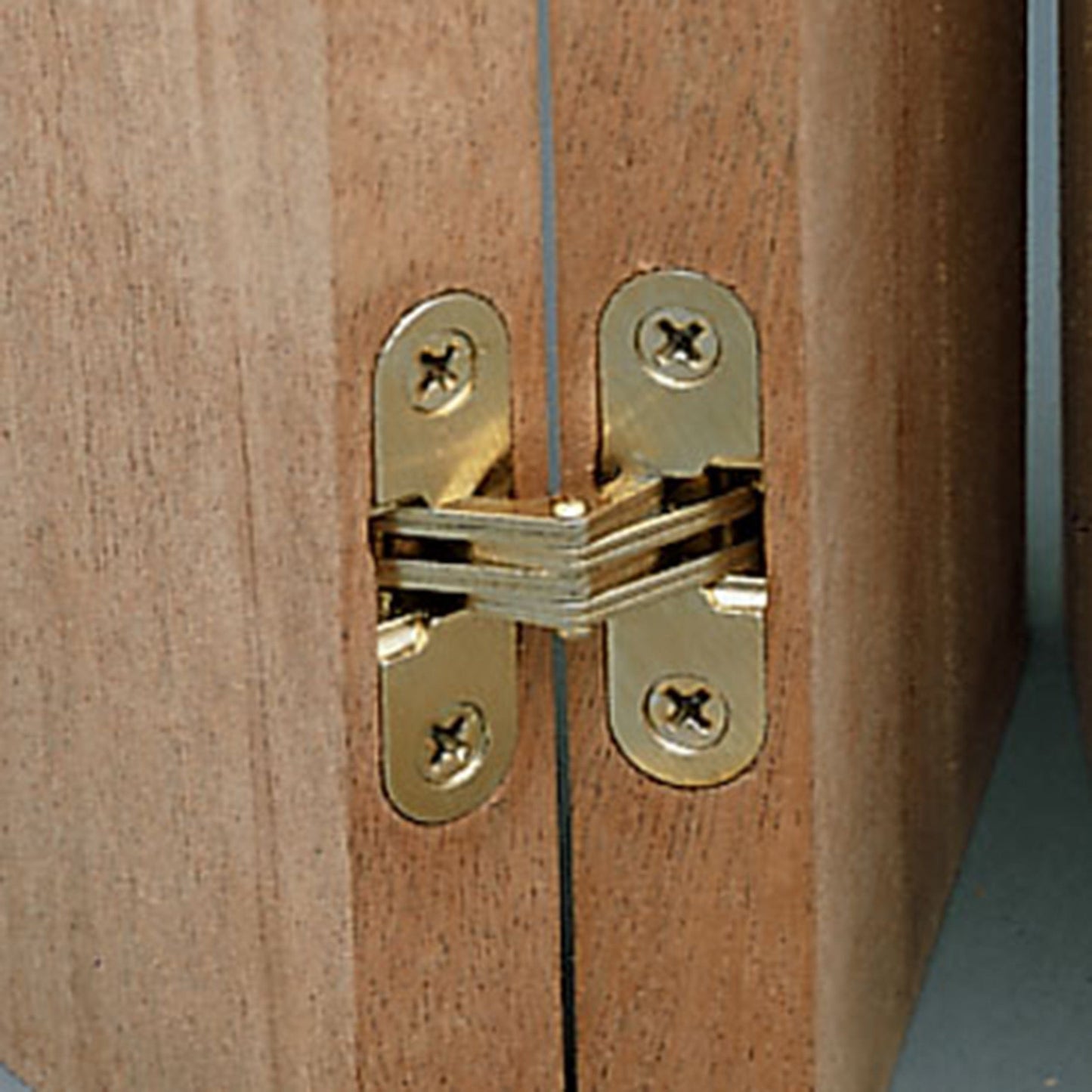 Invisible Hinge - Brass Plated - Pair