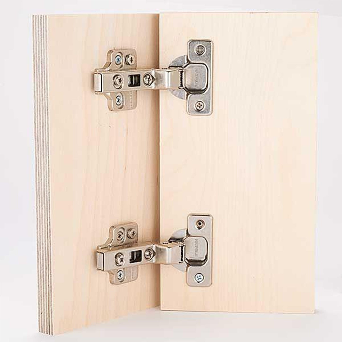 Frameless Hinge - Pair