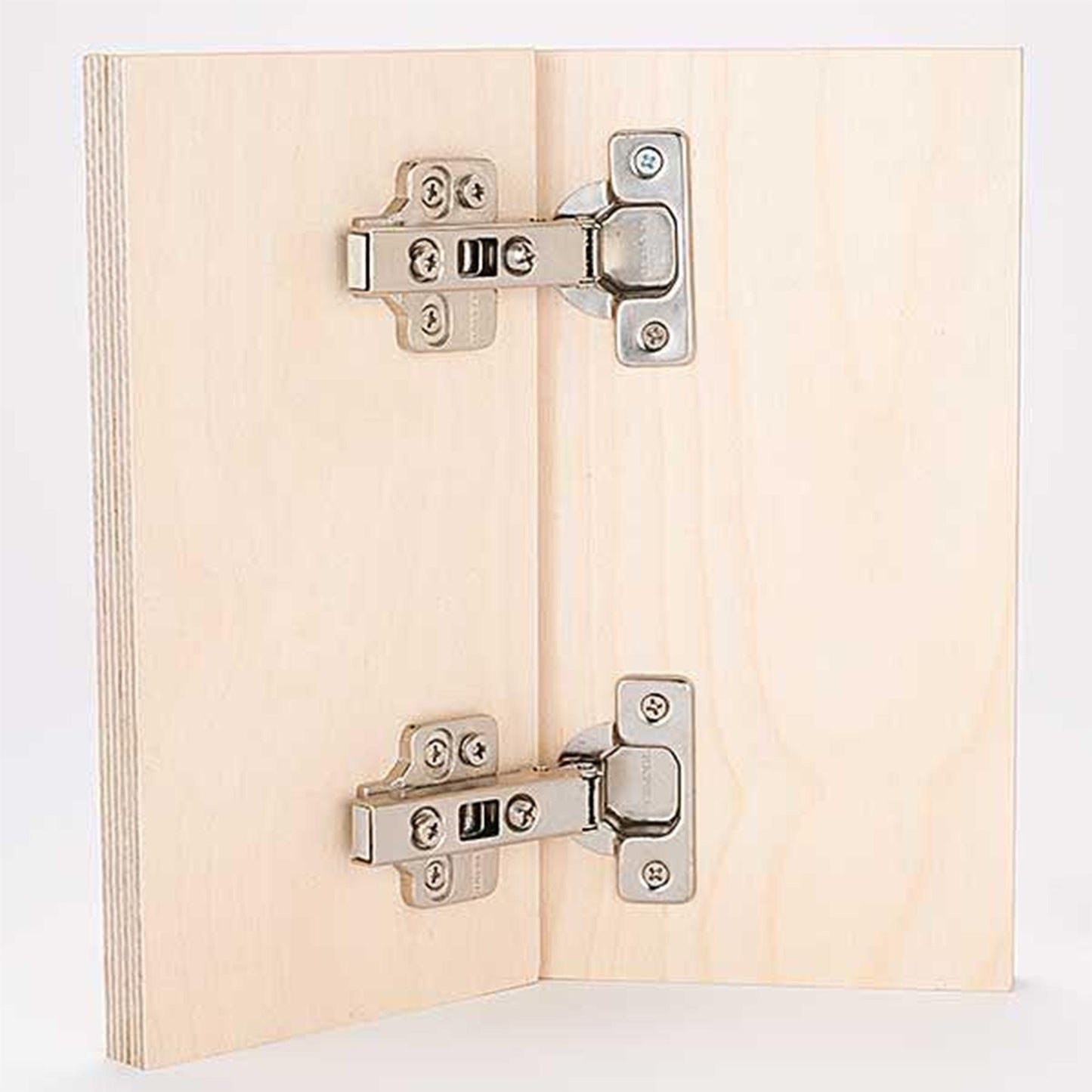 Frameless Hinge - Pair